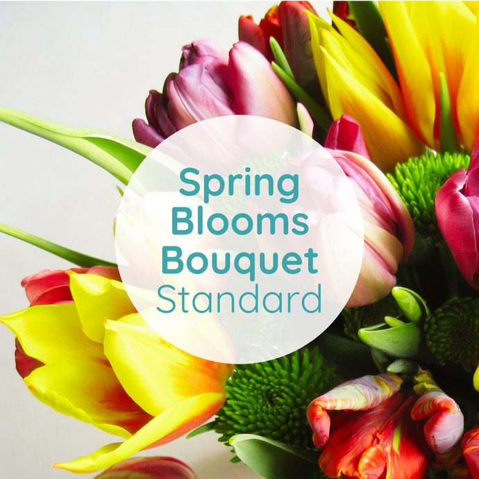Standard Spring Bloom Bouquet
