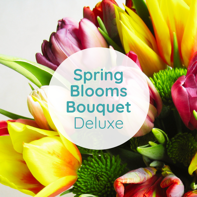 Deluxe Spring Bloom Bouquet