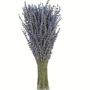 Dried Lavender Bouquet