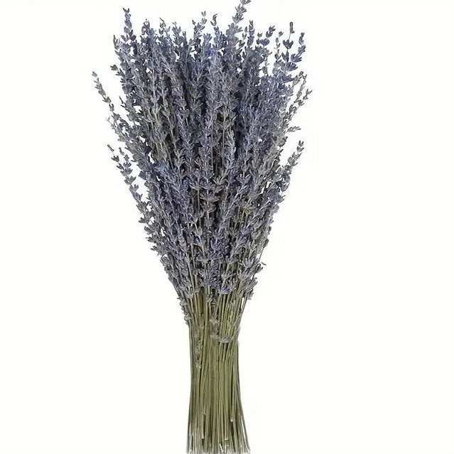 Dried Lavender Bouquet